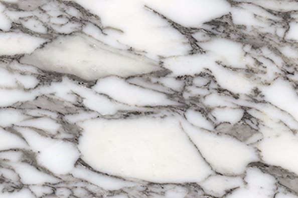 Arabescato Marble - Jaddas Stone Arabescato Marble