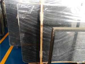 Black fossil marble slab with competitive price