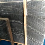Black fossil marble slab with competitive price