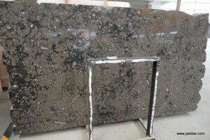 Brown fossil marble slab - Jaddas Stone