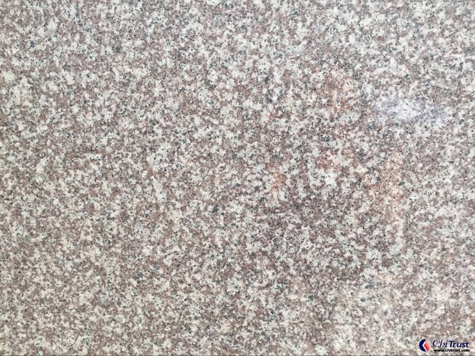 China G664 Granite - Jaddas Stone China G664 Granite