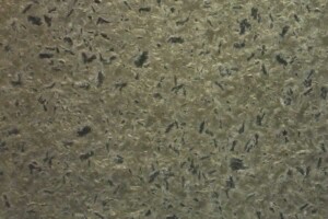 Chinese matrix granite, High Quality grey Granite Slab