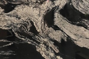 Cosmos black granite, High Quality black Granite Slab