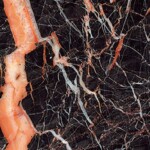 Danasty Brown Marble