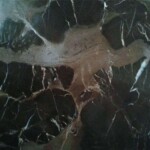 Dark Emperador marble slab with competitive price