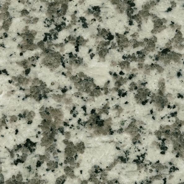 G439 White Flower Granite - Jaddas Stone G439 White Flower Granite