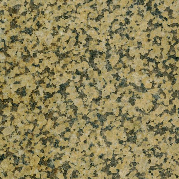 G703 Chrysanthemum Yellow Granite - Jaddas Stone G703 Chrysanthemum Yellow Granite
