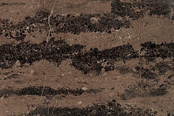 Gold Coast Marble - Jaddas Stone Gold Coast Marble