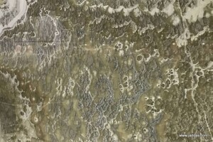 Grey pearl onyx marble slab - Jaddas Stone