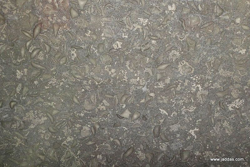 Guste - Jaddas Stone Guste
