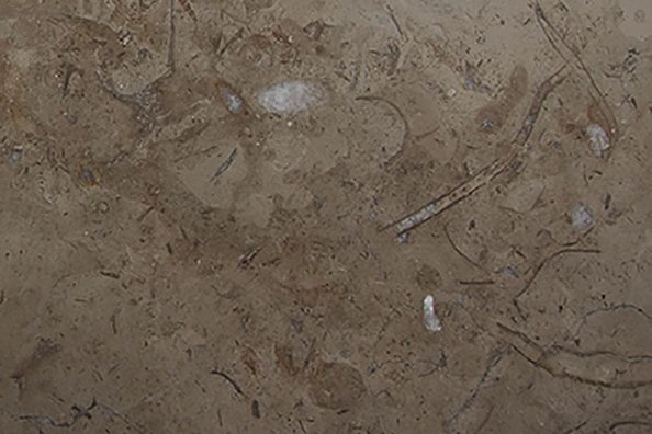 Jordan Grey Marble - Jaddas Stone Jordan Grey Marble