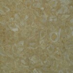 Lahore gold marble slab with competitive price