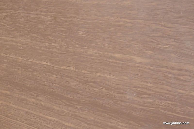 Purple Wooden Sandstone - Jaddas Stone Purple Wooden Sandstone
