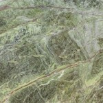 Rainforest green marble slab with competitive price