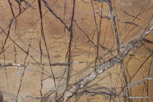 Rainforest yellow marble slab with competitive price