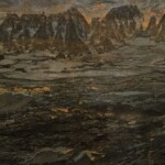 Tarzan marble slab with competitive price