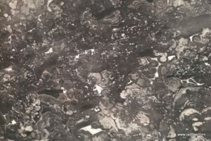 Tunisia grey marble slab with competitive price