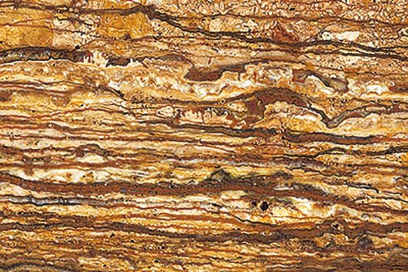 Walnut Travertine Marble - Jaddas Stone Walnut Travertine Marble